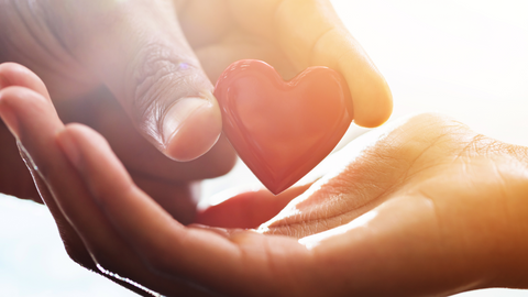 Celebrating our Commitment: Supporting Charities and Sustainable Initiatives