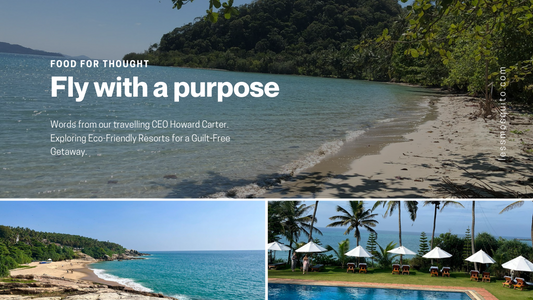 Fly with Purpose: Exploring Eco-Friendly Resorts for a Guilt-Free Getaway