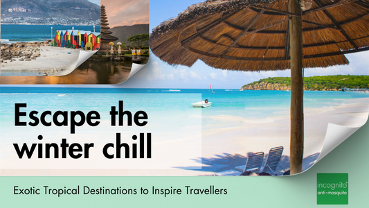Escape the Winter Chill: Exotic Tropical Destinations to inspire Travellers
