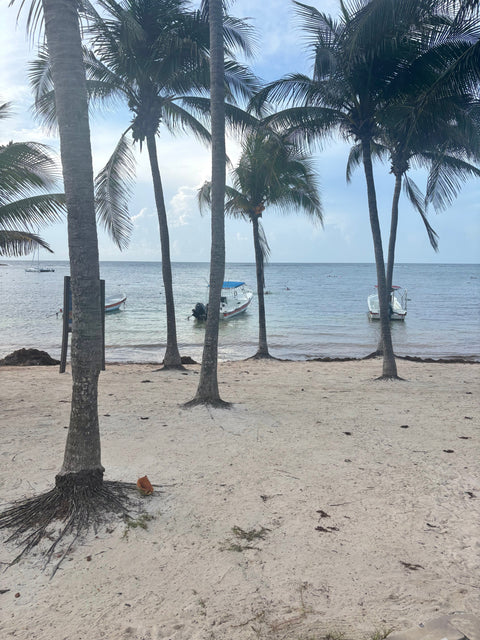Guest blog: Coral Fry's Akumal conservation expedition