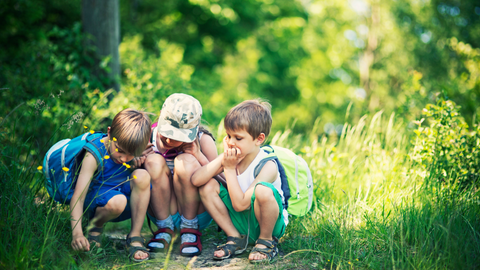 We Live in a Bug’s World: What That Means for Travellers