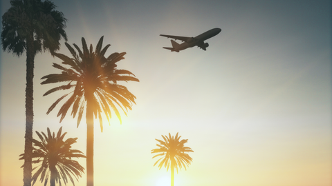 Fly with Purpose: Exploring Eco-Friendly Resorts for a Guilt-Free Getaway