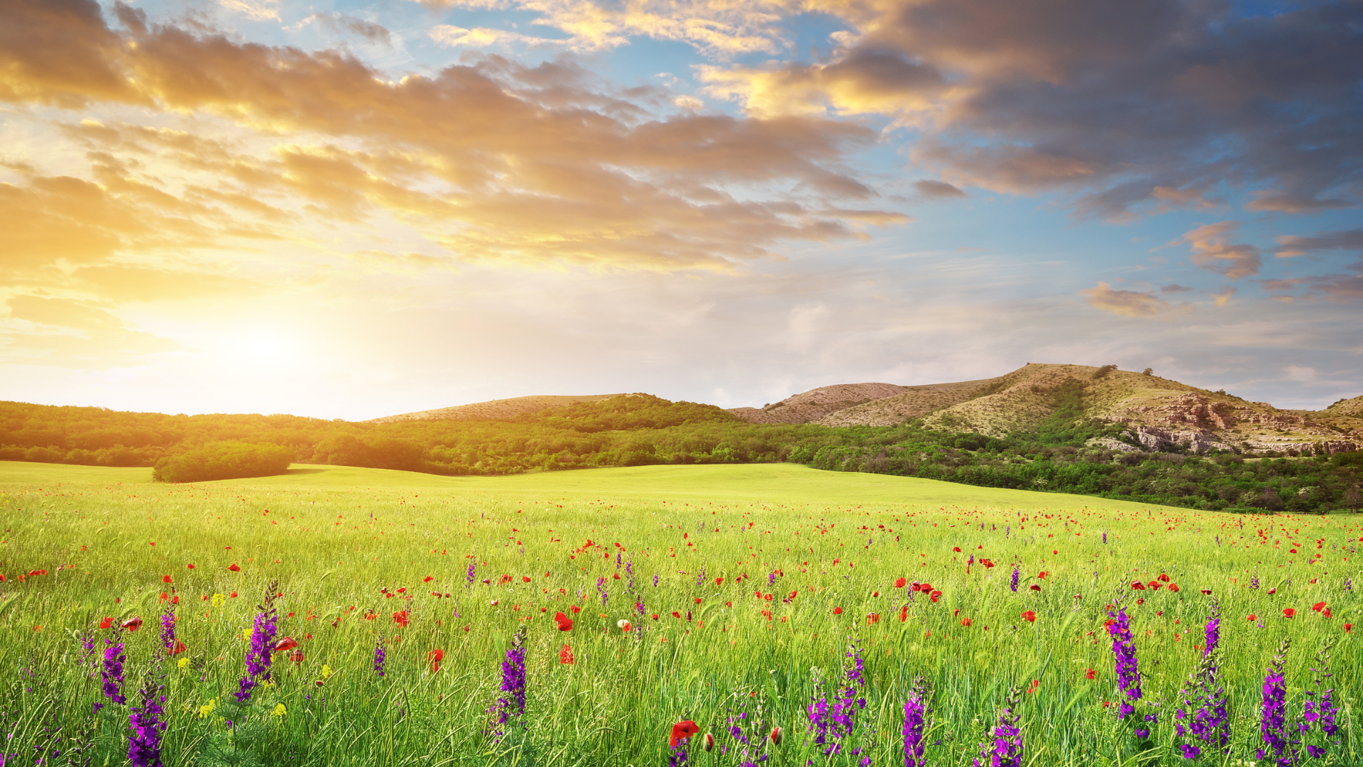 March and Spring Are Just Around the Corner – Less Mosquito