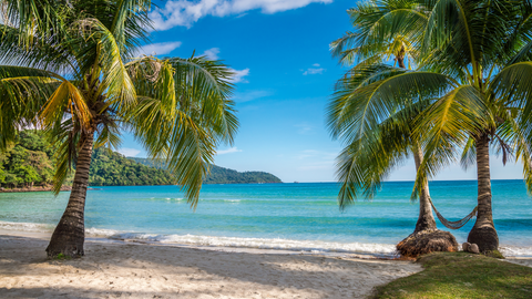 Escape the Winter Chill: Exotic Tropical Destinations to inspire Travellers