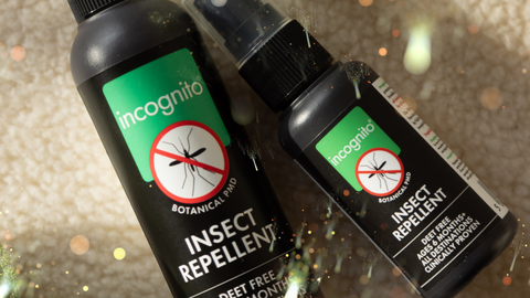 Stay Protected from Insects This Thanksgiving