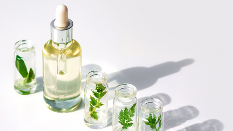 Different Insect Repellent Ingredients