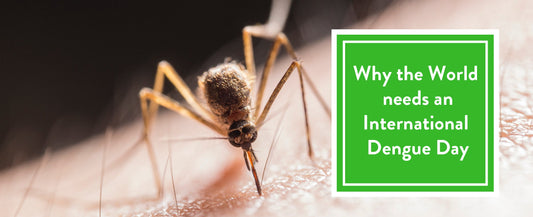 Why the World needs an International Dengue Day - Less Mosquito