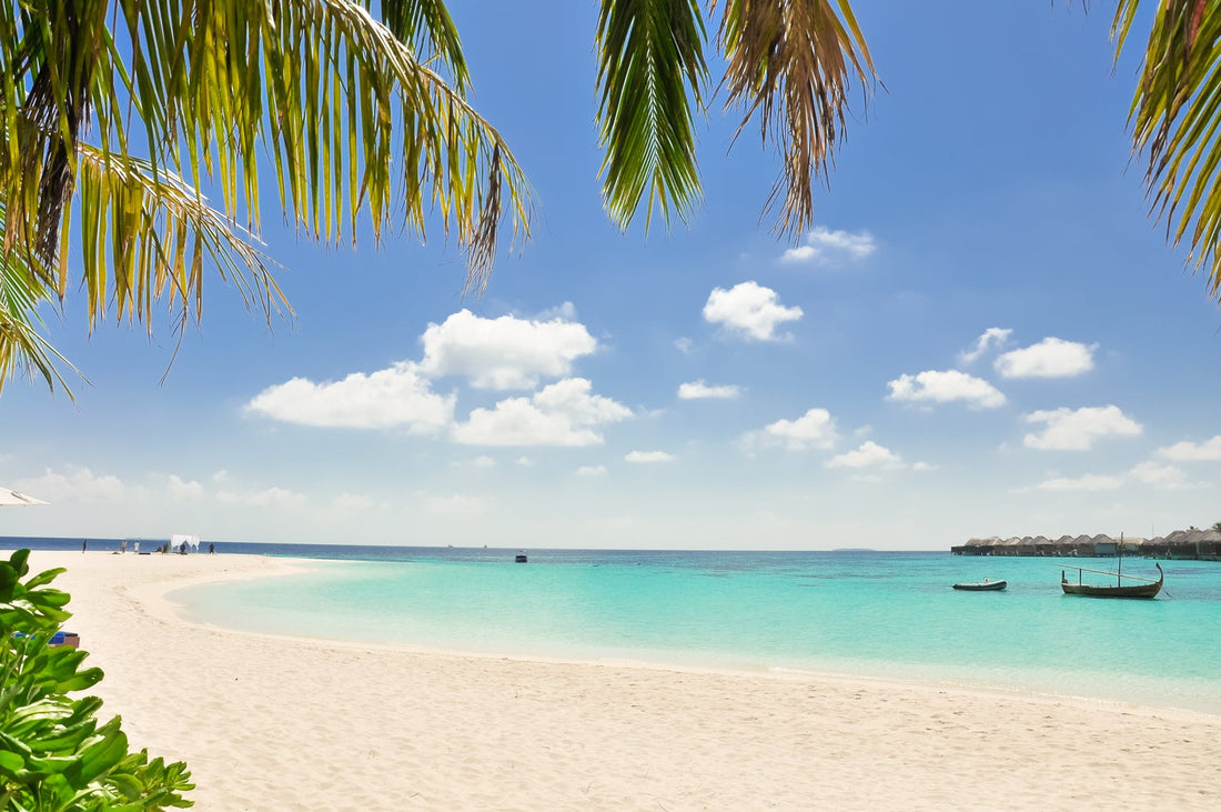 Winter Sun Protection Tips: Using The Best Insect Repellent and More! - Less Mosquito