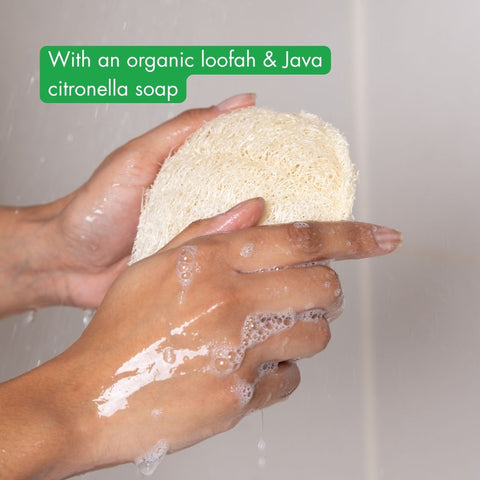 Luxury Loofah - contains Java Citronella Soap