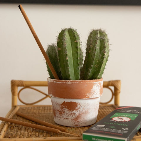 Incense Sticks