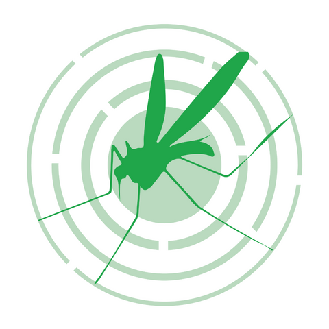 Mosquitoes