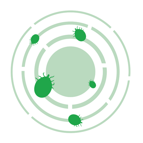 Ticks